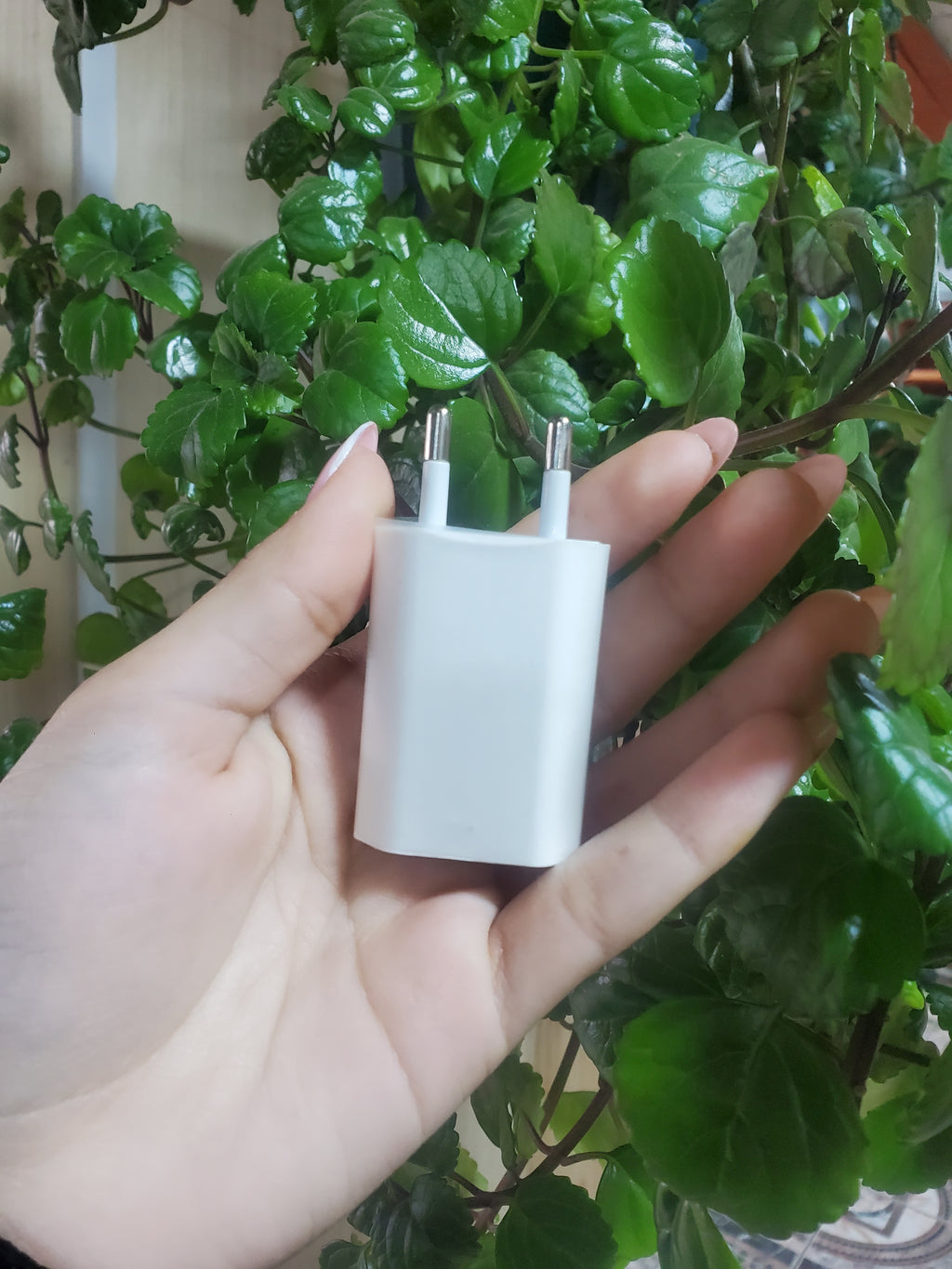 Apple Cargador 5W con Puerto USB-A